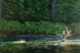 “Cascapedia Spey” by Greg Ames