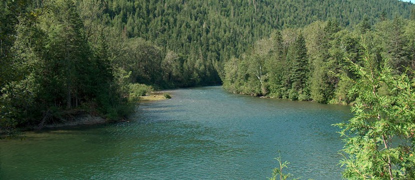 La Rivière Cascapedia