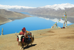 A Vision of Tibet