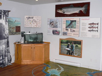 The interpretation center features a large map showing the Atlantic salmon's migration paths.