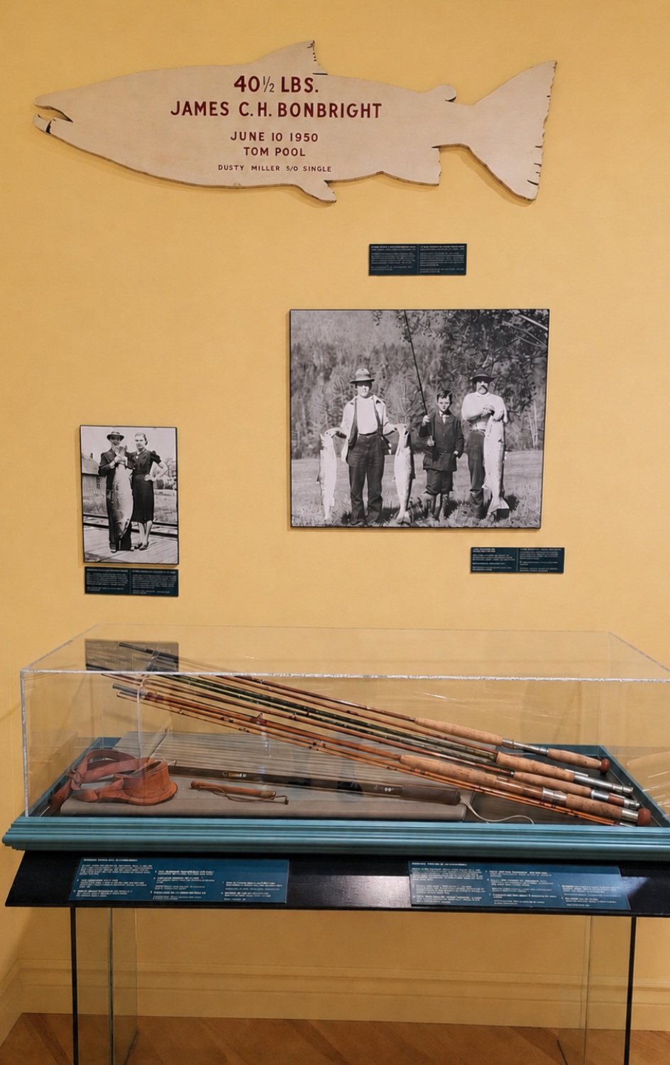 Click to enlarge A picture of one of our display cases.