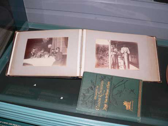 A picture of one of our display cases.