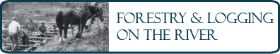 Forestry and Logging