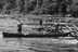 Log Drive