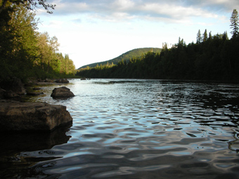 A picture of the Cascapedia River at dusk.
